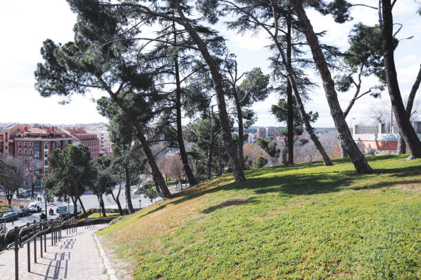 Madrid, stairs, Landscape Architecture, daytime, March, spring