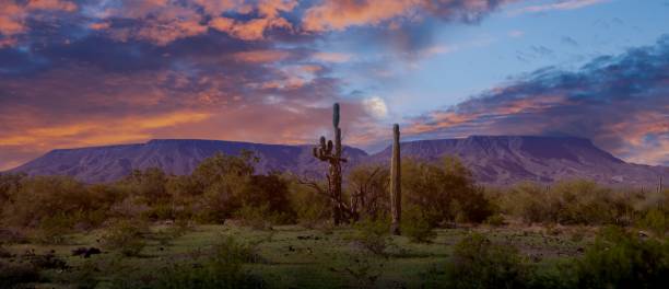 istock Arizona Desert Landscape 2066168665