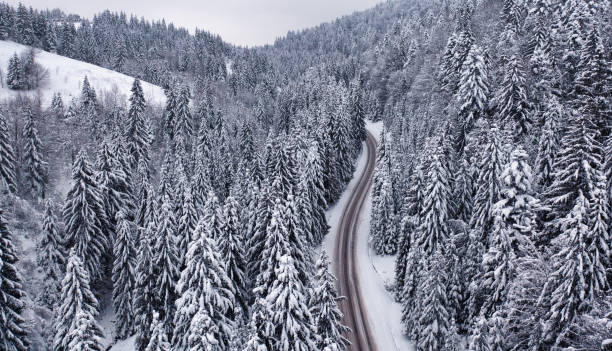 istock Snowy Serenity: Aerial Adventure through the Mountain Forest 2066174915