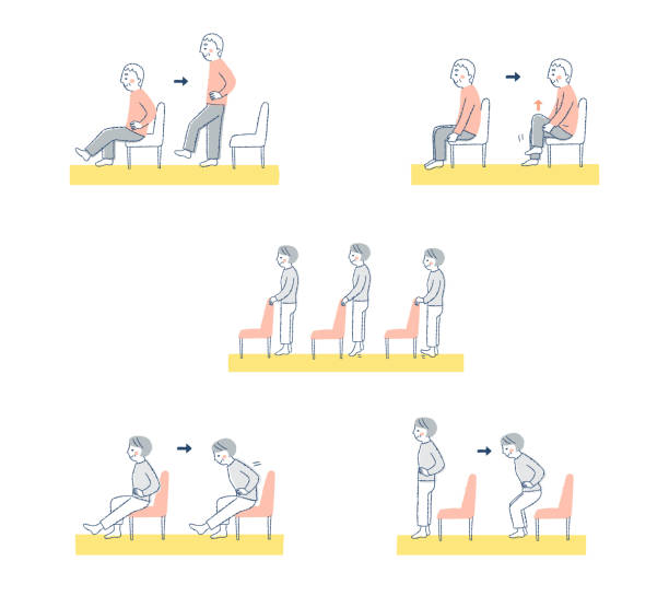 ilustrações, clipart, desenhos animados e ícones de conjunto de exercícios para locomotivas/prevenção de fragilidade - aging process women human age profile