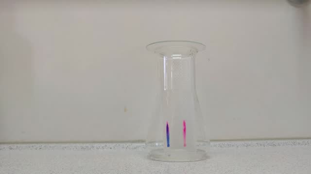 Chromatography experiment in science class