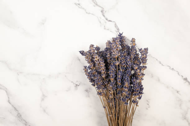 istock Top view of lavender flowers on white marble background. 2066199302