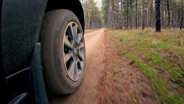 Close-up car driving on dirt sandy road. View of right rear wheel of SUV in motion. Road through forest
