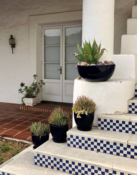 istock Succulents and Stairs 2066213504