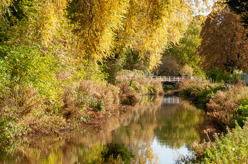 Autumn Trees Next To A Canal With A Small Bridge In The Distance