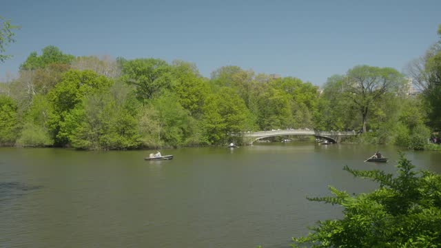 People Rowing Boats On Lake In Central Park At New York