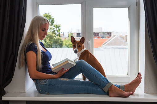 A young beautiful woman with a basenji dog sits at the window