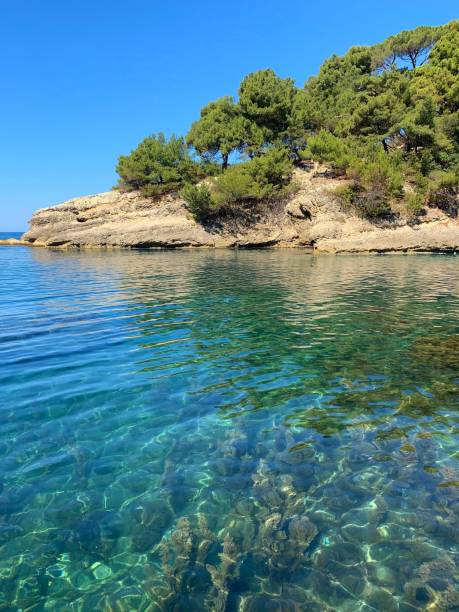 istock Medterranean sea and pine trees on the coastal rock 2066317043