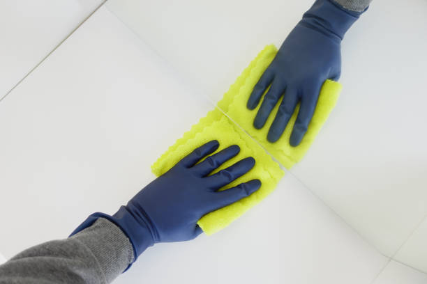 istock hand in blue rubber gloves cleaning table with cloth 2066350703