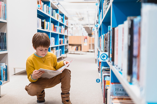 Young kid portrait at the public library