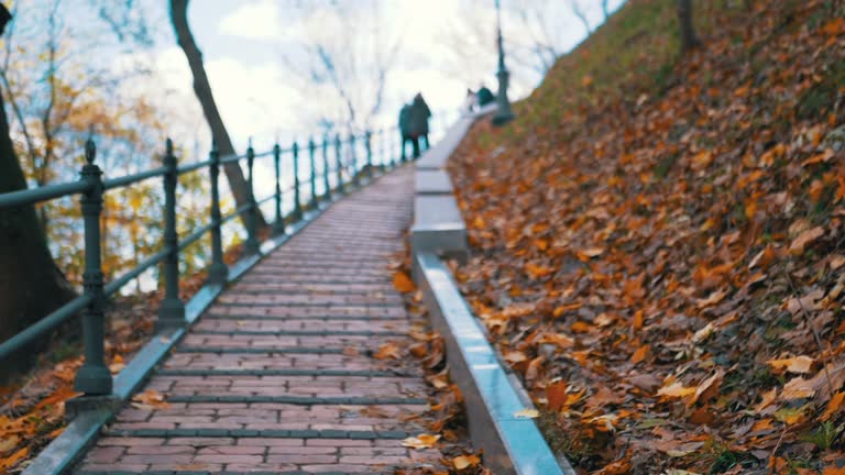 People Walk by a Pedestrian Bridge against the Backdrop of Fallen Autumn Leaves