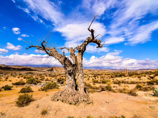 istock Desert Tabernas in Almeria Province Spain 2066377062