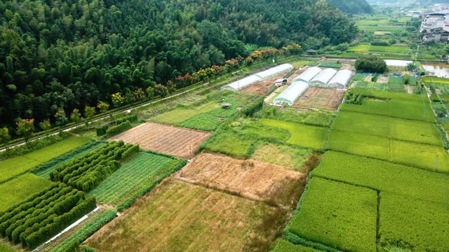 Aerial photography of agricultural fields