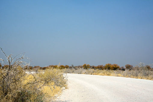 Road Sign to Ozonjuitji M'bari Waterhole at Etosha National Park in Kunene Region, Namibia