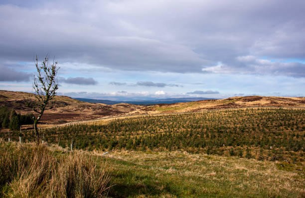 istock Across Galloway hills 2066424394