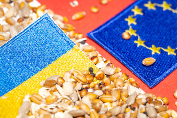 blockade of grain from ukraine, import of ukrainian grain by the european union, concept, farmers' problems, agricultural products, quality standards of grain from ukraine - european union currency order finance currency stock-fotos und bilder
