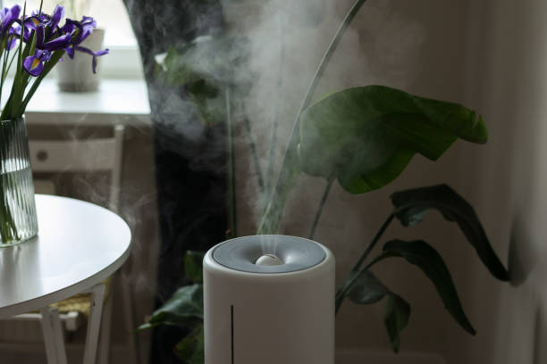 istock Ultrasonic diffuser, air purifier, humidifier releases stream of cold steam room for proper houseplant growth. Care hydration of plants in dry air. Aroma oil steam aromatherapy. Body health treatment 2066443827