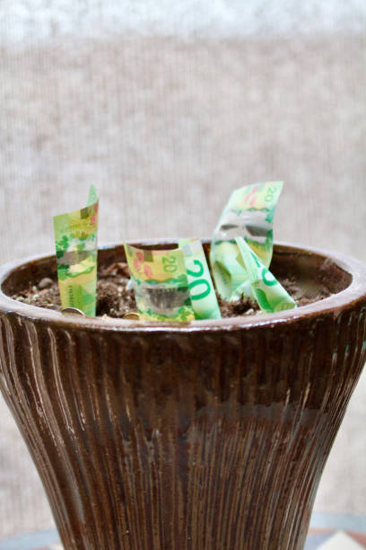 istock Money growing in planter 2066539131