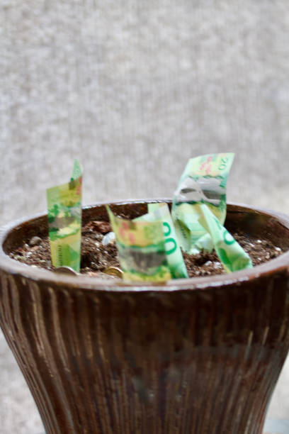 istock Money growing in planter 2066539133