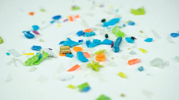 istock Microplastics collected from the sand on the beach of the Black sea. 2066558757
