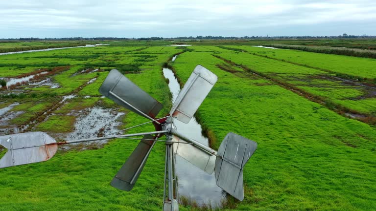 Aerial footage of wetlands  in the Netherlands