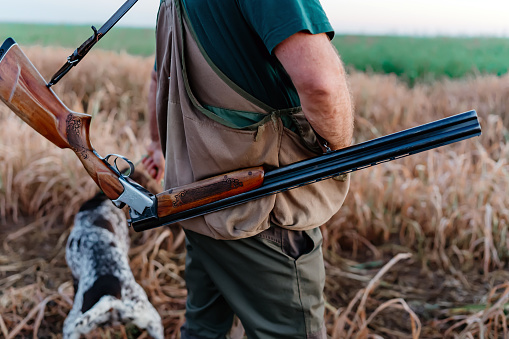 In the heart of the wilderness, a mature Caucasian hunter and his loyal dog move as one, their bond a testament to the deep connection between human and canine in the age-old tradition of hunting, each step together a blend of companionship and purpose
