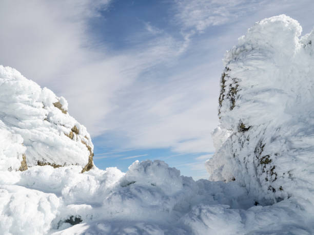 Snowy winter landscape in winter in high mountains. Sierra de Béjar, Spain