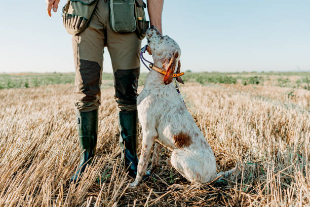 istock Tracking tales of camaraderie 2066568389