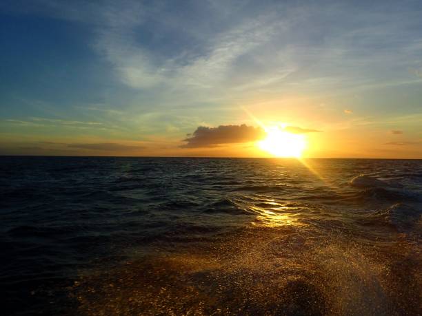 istock Catching that last ray of sunshine 2066571016
