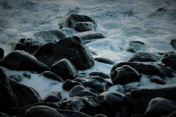istock Perfect hue of contrast 2066571566