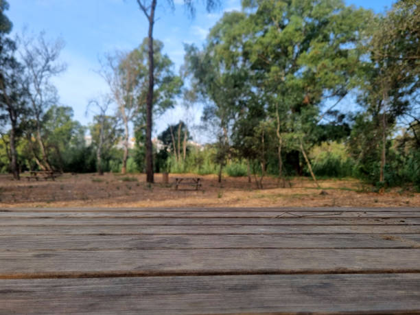 istock wooden table in closeup in public park 2066576319
