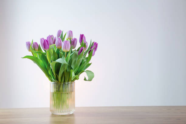 istock pink tulips in glass vase on white background 2066595743