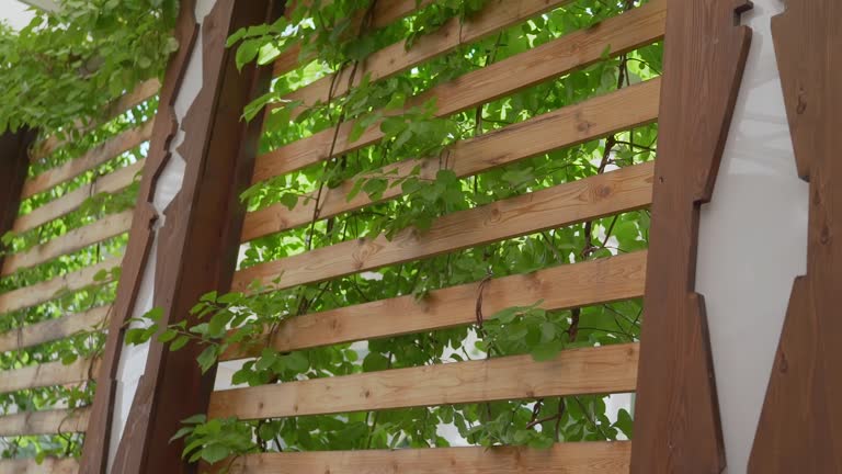 Fence rails on the street. mahogany fence