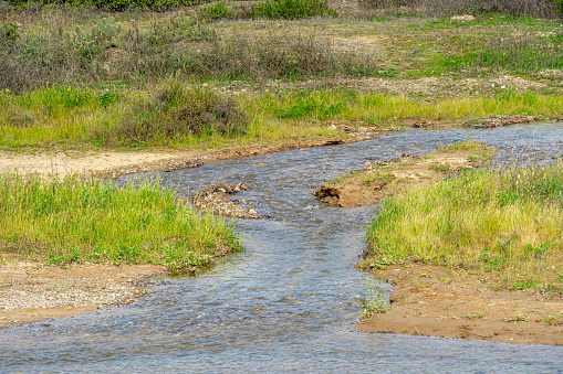 A stream of flowing water in a field in Irvine Regional Park in Orange County, California