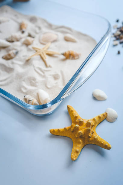 istock A child studies sand and shells, an idea for an activity with a child 2066697121