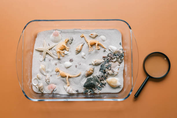 istock Sensory activity of a child, idea for an activity, top view 2066697127