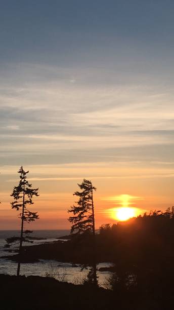 istock Tofino British Columbia Vacation 2066761787