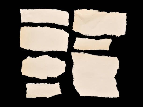 istock Group of torn old paper pieces isolated cutout 2066781505