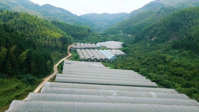 Greenhouses in the mountains