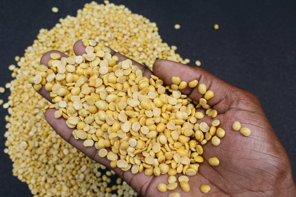 Toor dal or arhar dal on hand close-up view