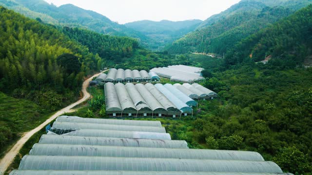 Greenhouses in the mountains