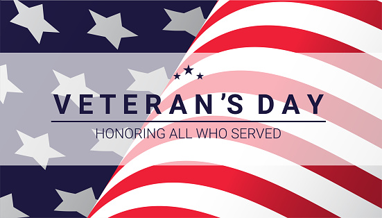 Veterans Day Tribute Featuring American Flag and Honorary Text. Vector Illustration.