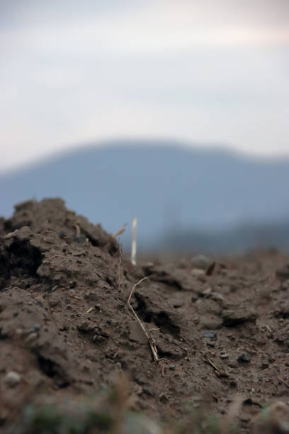 plowed field in autumn