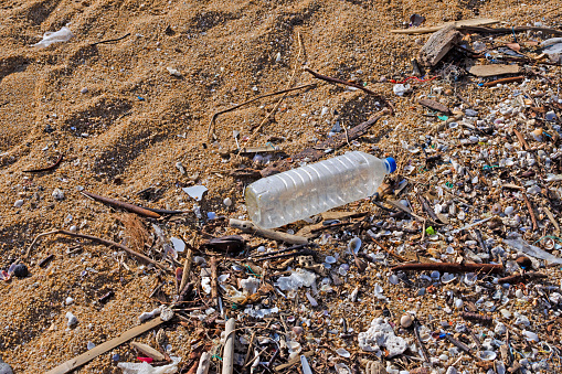 Plastic water bottles are left on the beach as waste polluting nature, Plastic is hard to degrade, destroy the ecosystem, World environment day concept.