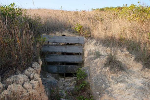 Japanese wartime tunnels at Quarry Pass, hong kong 25 Dec 2006