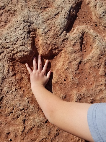 A child has place his/her hand into the baked clay, inside a prehistoric dinosaur foot print to compare the size of his hand to a dinosaur at a Navajo nation dinosaur tracks in Arizona