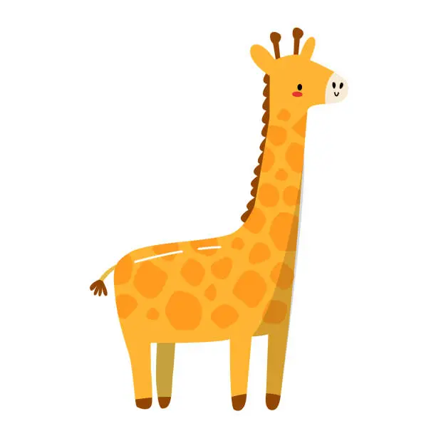 Vector illustration of Vector cute hand drawn giraffe animal safari white background isolate