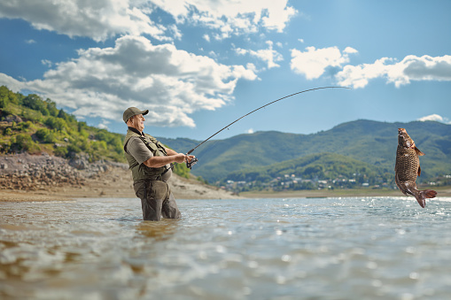 Fisherman catching a big carp fish with a fishing pole in a mountain lake