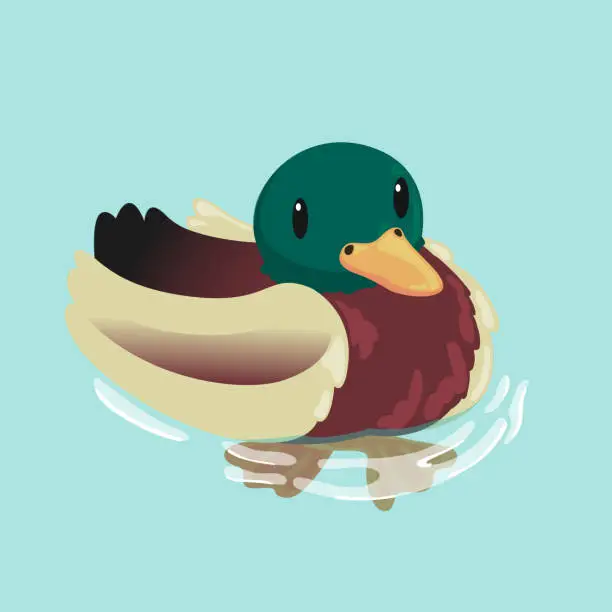 Vector illustration of Adorable duck swimming