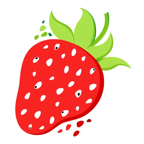 Vector illustration of strawberry isolated on white background